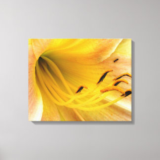 Day lily - canvas