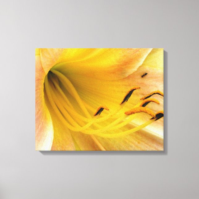 Day lily - canvas print (Front)