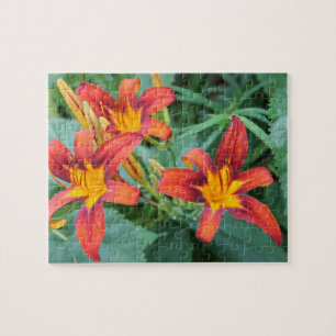 Day Lily Delight Jigsaw Puzzle