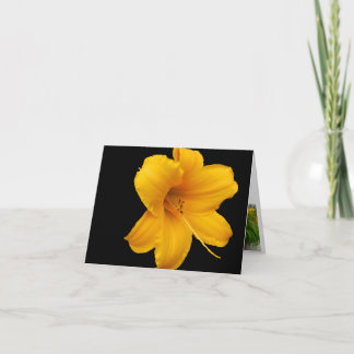 Day Lily Note Card
