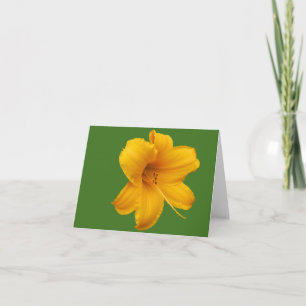 Day Lily Note Card