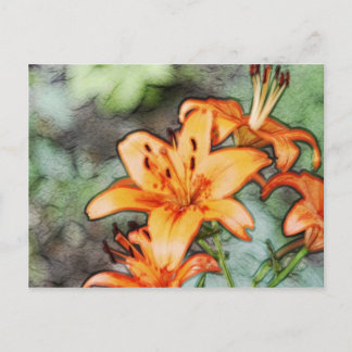 Day Lily's Postcard