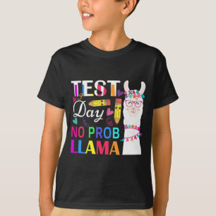 Day No Prob Llama Funny Teacher Testing 2 T-Shirt