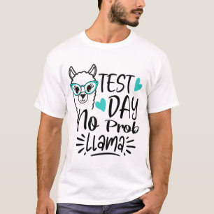 Day No Prob-llama Llama Teacher Testing Day 2 T-Shirt