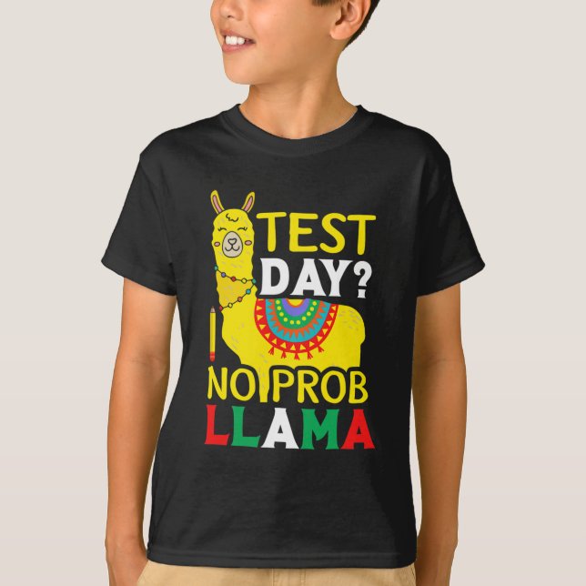 Day No Prob-llama Teacher Teaching Exam Testing  T-Shirt (Front)