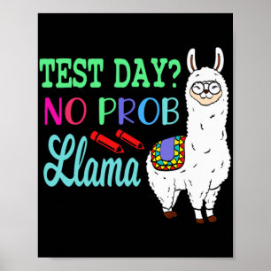 Day No Prob Llama Test Day No Probllama Test Day L Poster