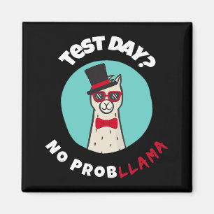 Day No Probllama Funny Testing Llama Design Magnet