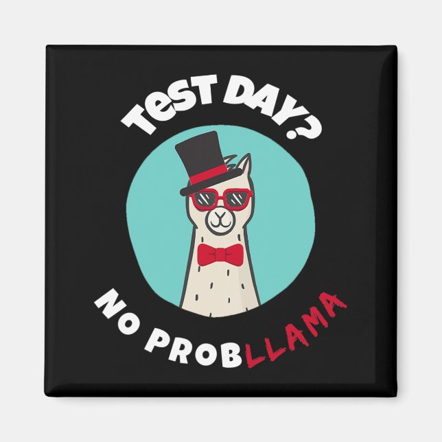 Day No Probllama Funny Testing Llama Design  Magnet (Front)