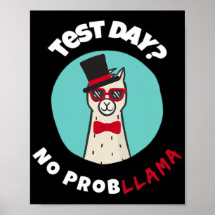 Day No Probllama Funny Testing Llama Design  Poster