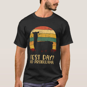 Day No Probllama Silhouette Teacher Student Gradua T-Shirt