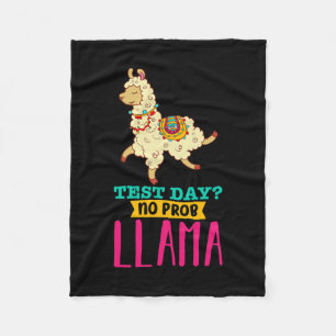 Day No Probllama T Shirt Llama Gift School Profess Fleece Blanket