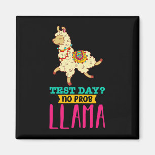 Day No Probllama T Shirt Llama Gift School Profess Magnet
