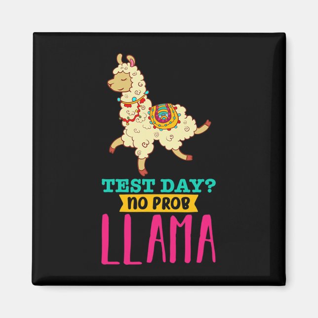 Day No Probllama T Shirt Llama Gift School Profess Magnet (Front)