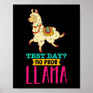 Day No Probllama T Shirt Llama Gift School Profess Poster