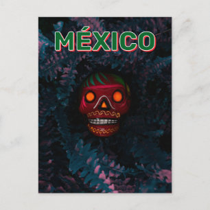 Day Of The Dead Mexico Postcard