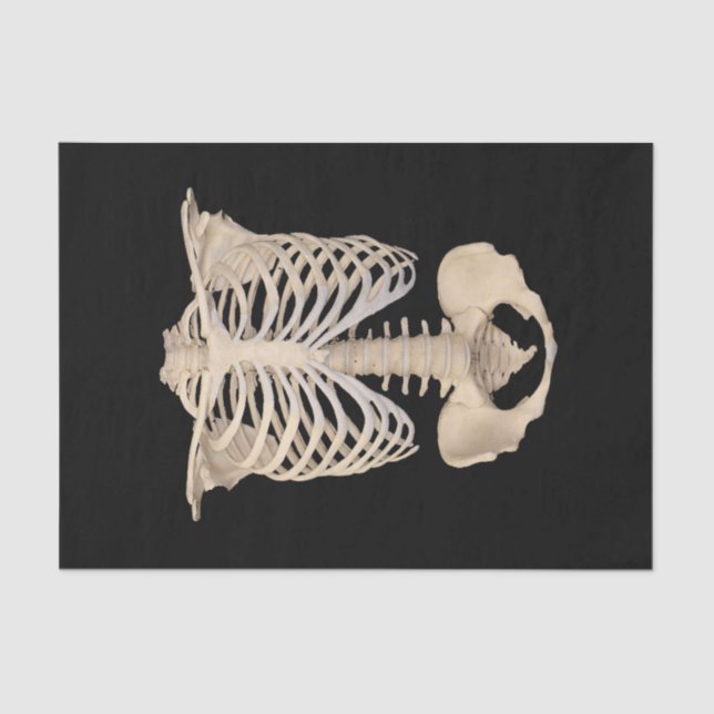 Day of The Dead Rib Cage Skeleton Halloween Party Tissue Paper (Front)