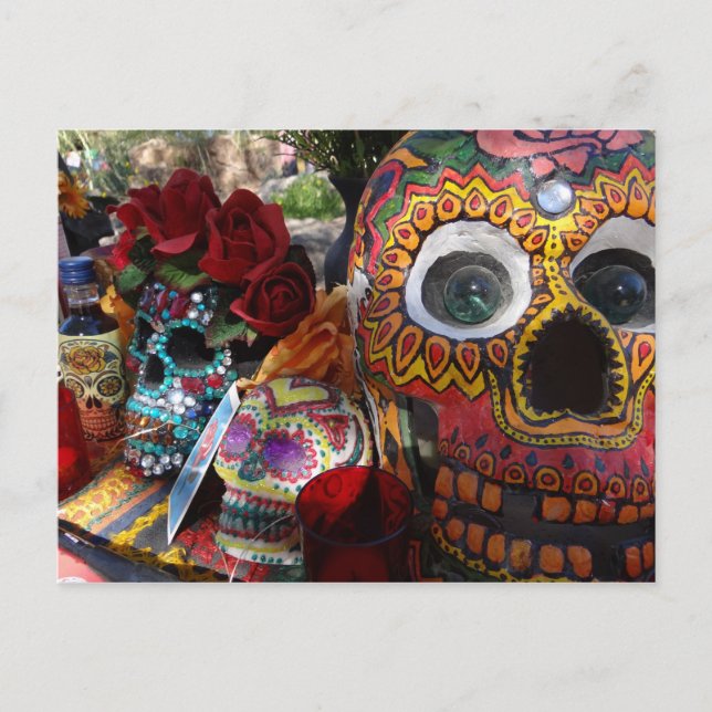 Day of the Dead Skull Photo Postcard (Front)