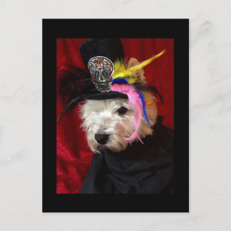 Day of the Dead Westie Postcard