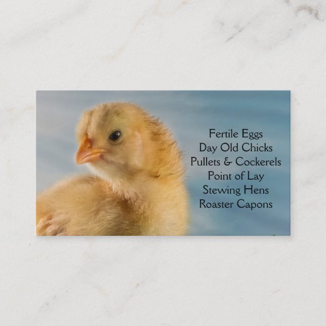 Day Old Chick - Layers or Broilers Farm Business Card (Front)