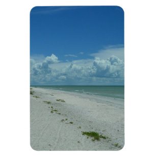 Day On A Tropical Beach Magnet