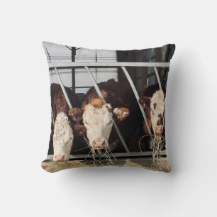 Day on the Farm Cushion