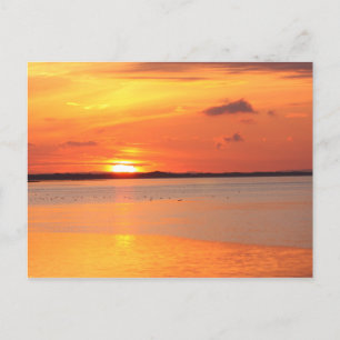 Day Slips into Night Postcard