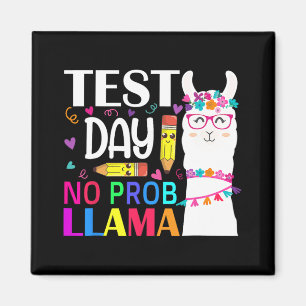 Day Test Day No Prob Llama Llama Teacher Magnet