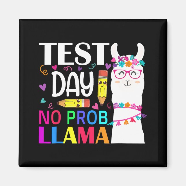 Day Test Day No Prob Llama Llama Teacher  Magnet (Front)
