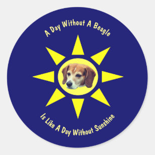 Day Without A Beagle Dog Lovers  Classic Round Sticker