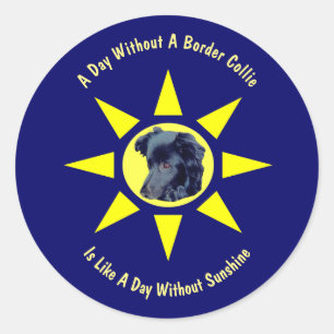 Day Without A Border Collie Dog Lovers  Classic Round Sticker