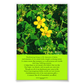 Daydreaming Inspirational Poem Photo Print