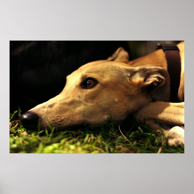 Daydreaming Poster (Front)