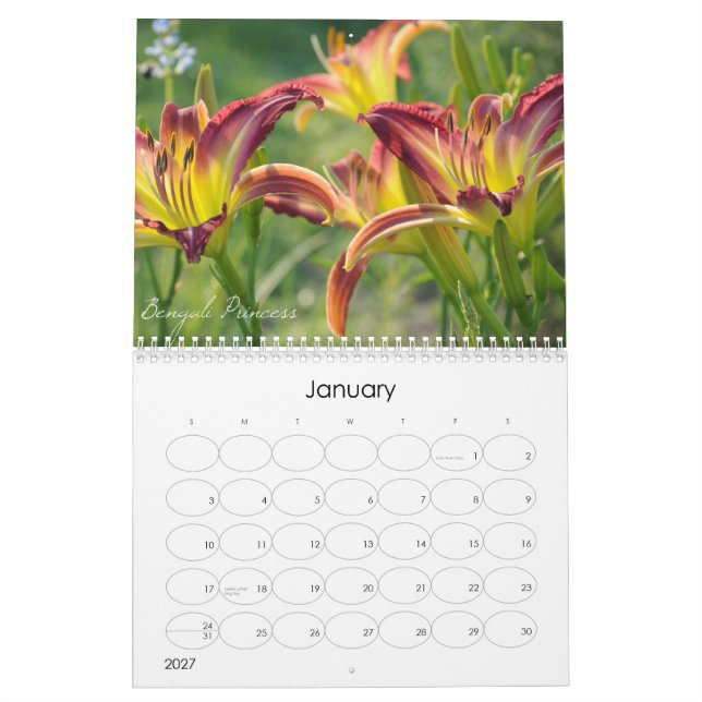 Daylilies 2011 Calendar (Jan 2027)