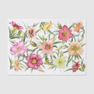 Daylilies All Over Tissue Paper