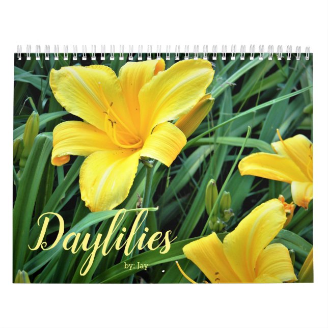 Daylilies Calendar (Cover)
