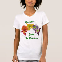 Daylilies Grow the Rainbow