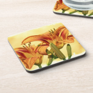 Daylilies - Hemerocallis Coaster