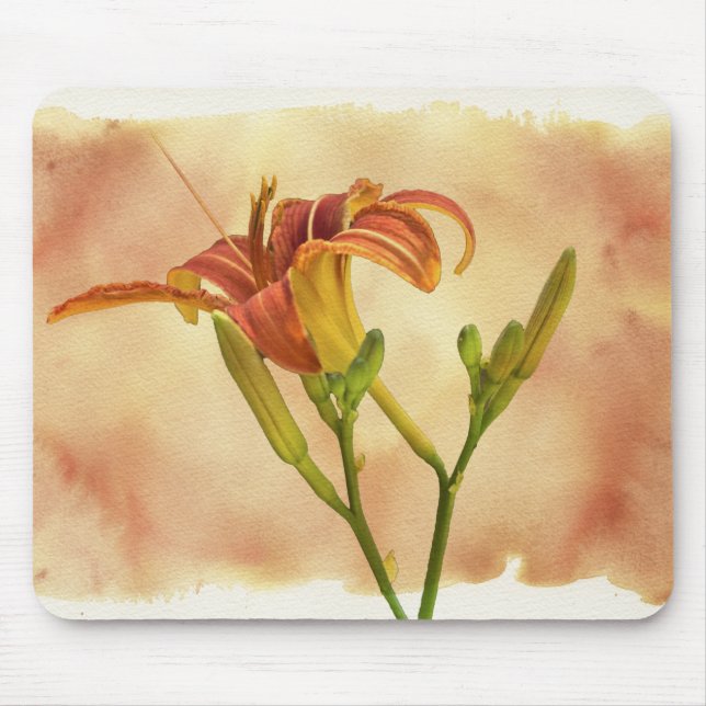 Daylilies - Hemerocallis Mouse Mat (Front)