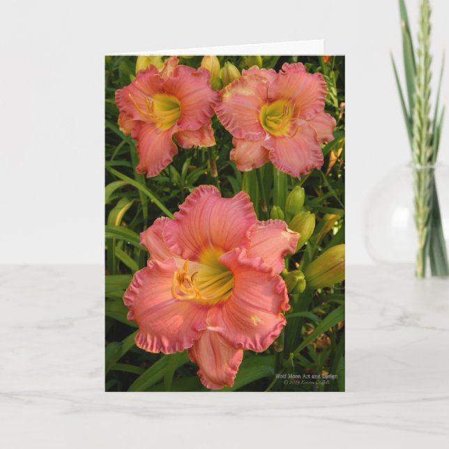 Daylilies / Lily Flowers / Rosy Pink 2 / Card (Front)