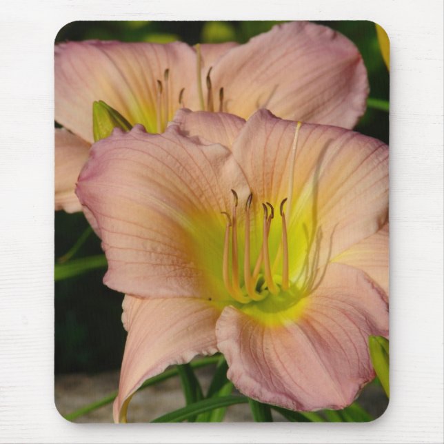 Daylillies Mouse Mat (Front)