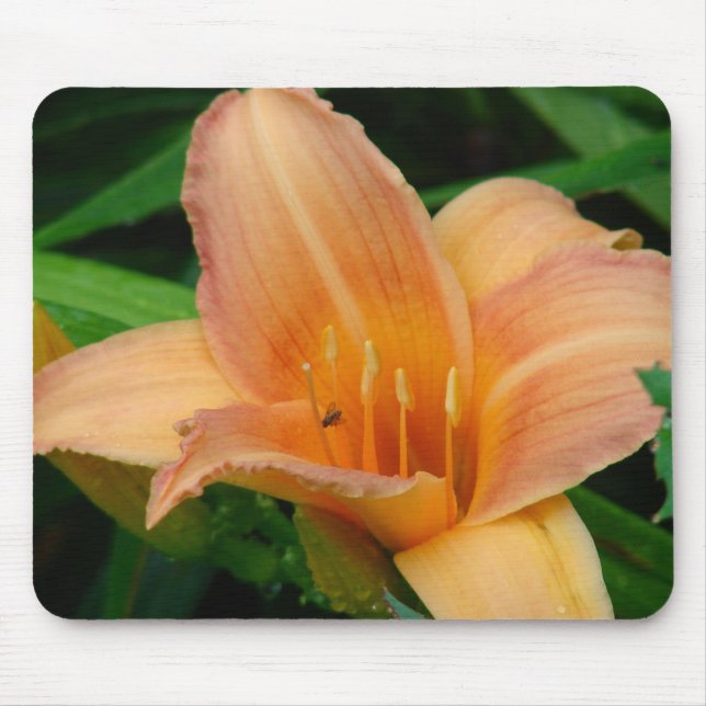 Daylily 2 mouse mat (Front)