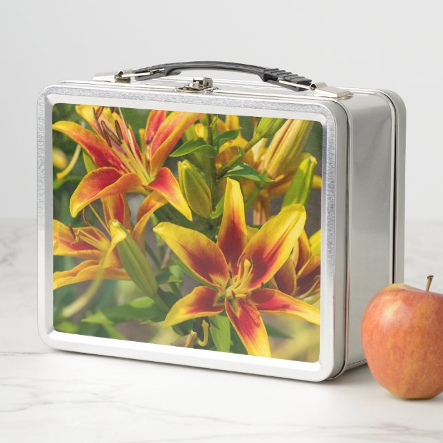 Daylily Botanical Print, Canadian Photography Metal Lunch Box (In Situ)