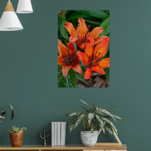 Daylily Botanical Print, Canadian Photography Poster