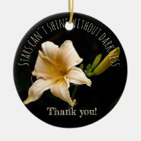 Daylily