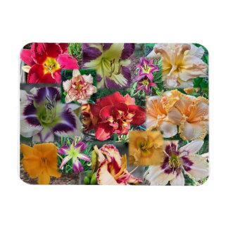 Daylily Collage Magnet
