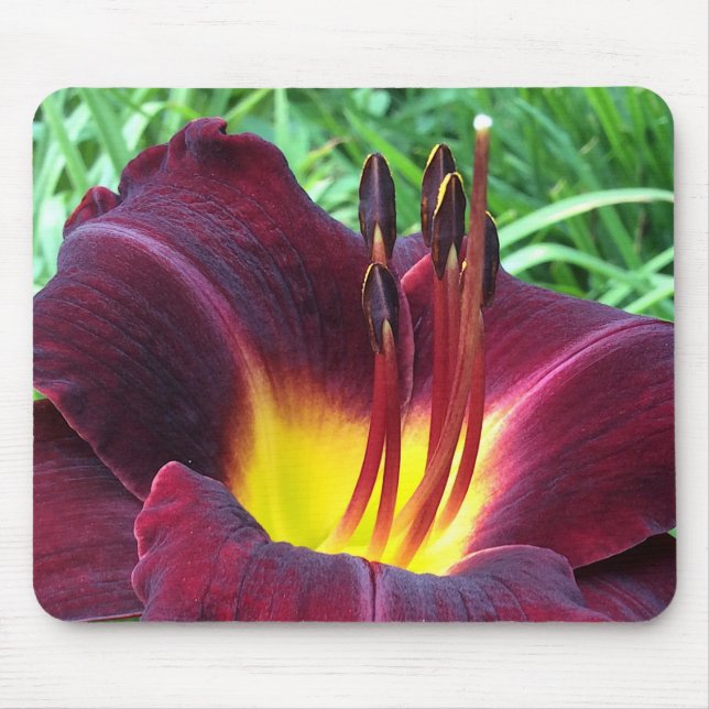 DAYLILY "Dominic" B. Dark Wine. Mouse Mat (Front)