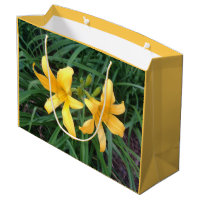 DAYLILY "Downey" Duo --- ECHO PRINT.