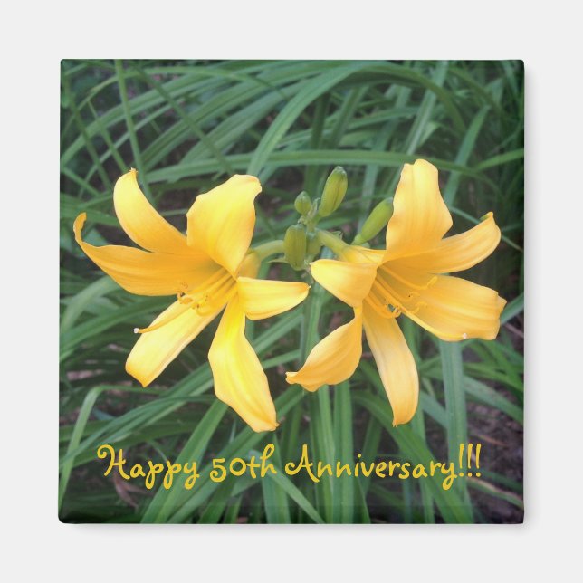 DAYLILY "Downey" Gold Duo --- Magnet (Front)