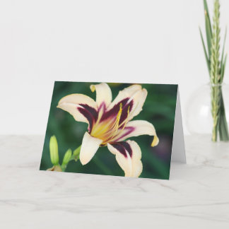 Daylily 'Egyptian Queen' Card