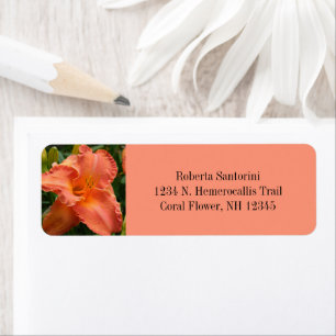 Daylily Flower Blossom / Hemerocallis / Coral